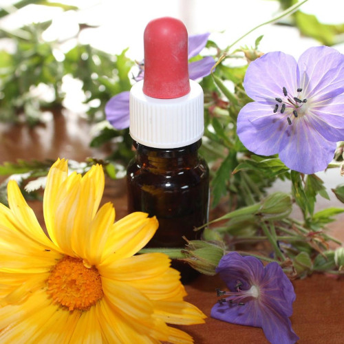 Floriterapia-e-micoterapia