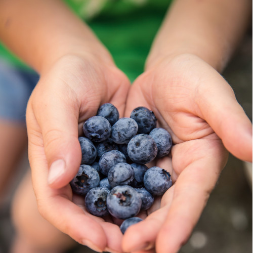 Disturbi-circolazione-e-microcircolo