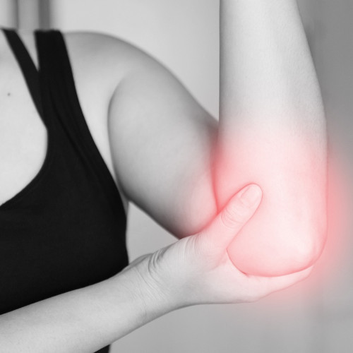 Apparato-muscolo-scheletrico