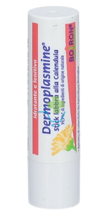 Boiron Dermoplasmine Stick Labbra Cal