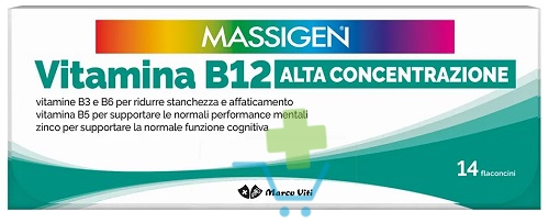 Dailyvit Vitamina B12 14fl